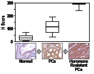 waltz_research_focus_pca waltz_research_focus_pca