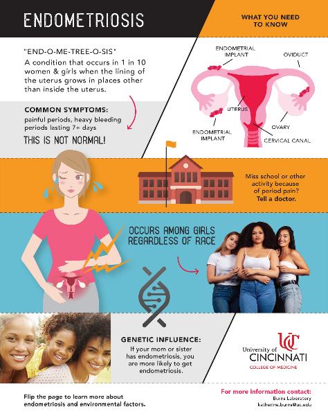 Endometriosis & Environmental Exposures Infographic Page 1 Endometriosis & Environmental Exposures Infographic Page 2