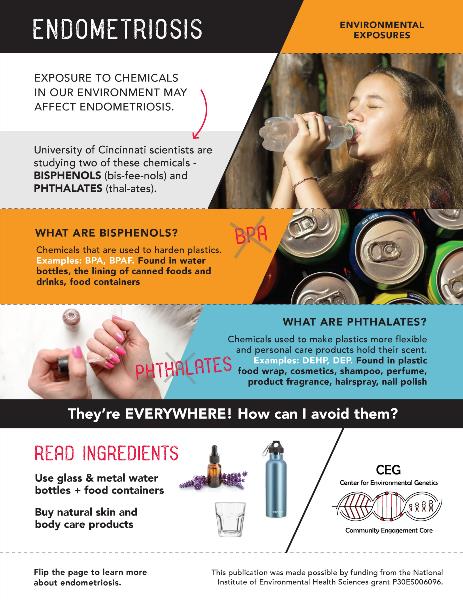Endometriosis & Environmental Exposures Infographic Page 2 Endometriosis & Environmental Exposures Infographic Page 2