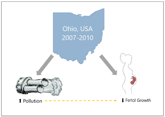 PM2.5 Fetal Growth Graphic PM2.5 Fetal Growth Graphic