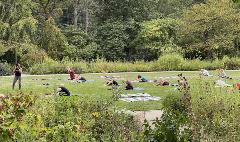 group of people practicing yoga in ault park