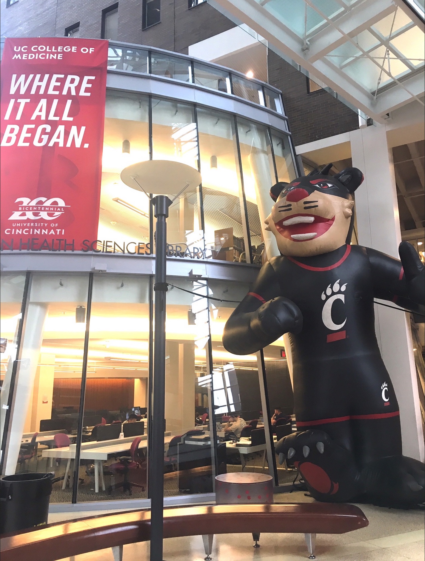 Image of the CARE Crawley Bearcat