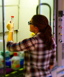 researcher-in-lab